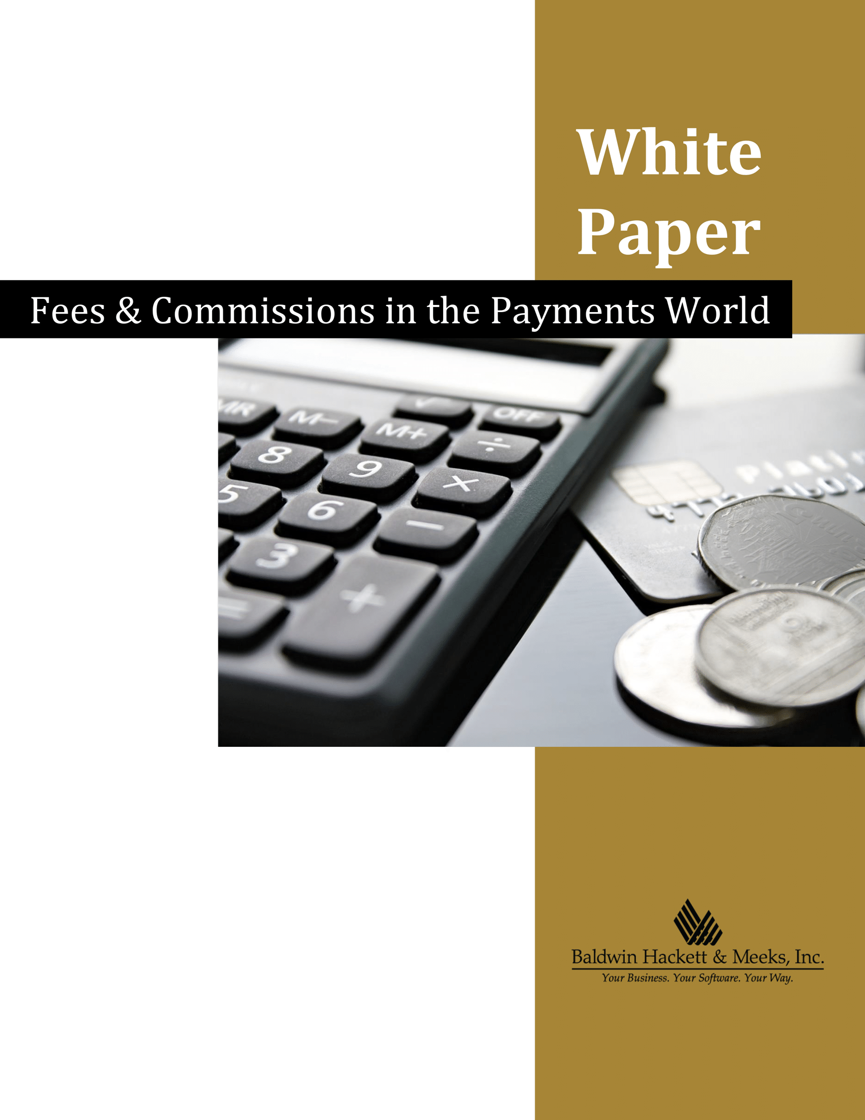 WHITE PAPER: FEES & COMMISSIONS IN THE PAYMENTS WORLD